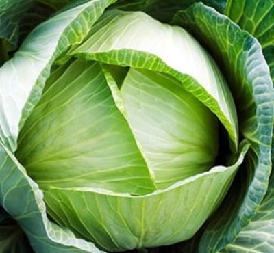 Bắp cải – Hiền Nhuần (500g | 1kg)