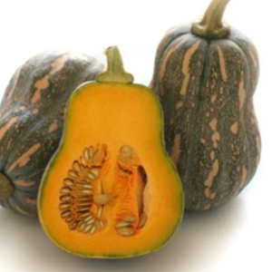 Bí đỏ – Hiền Nhuần (1kg/ 2kg)