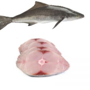 Cá bớp tươi – Hiền Nhuần (1kg)