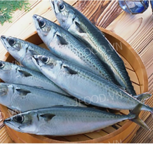 Cá nục tươi – Hiền Nhuần (300g | 500g | 1kg)