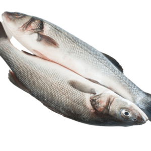 Cá vược biển – Hiền Nhuần (1kg)