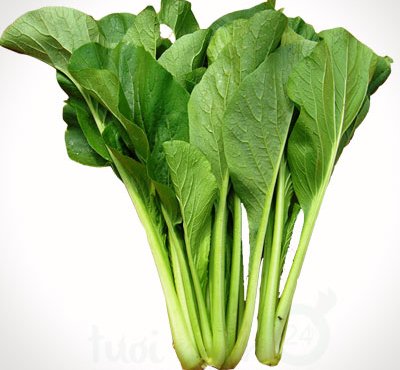 Cải ngọt – Hiền Nhuần (500g | 1kg)