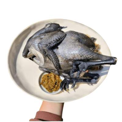 Gà đen H’Mông – Hiền Nhuần (1kg – 1.3kg)