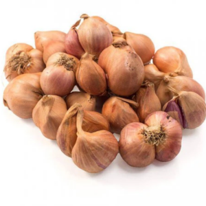 Hành khô ta (500g | 1kg