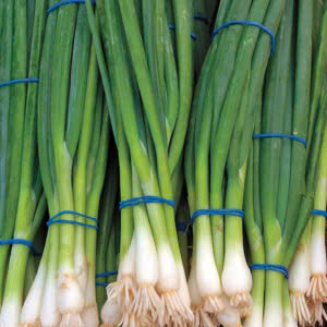 Hành lá – Hiền Nhuần (100g | 200g | 500g)