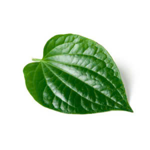 Lá lốt – Hiền Nhuần (100g | 200g | 500g)