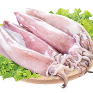 Mực ống tươi 20–30cm – Hiền Nhuần (500g | 1kg)