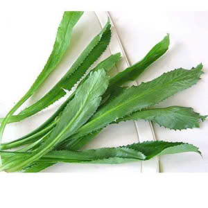 Mùi tàu – Hiền Nhuần (100g | 200g | 500g)