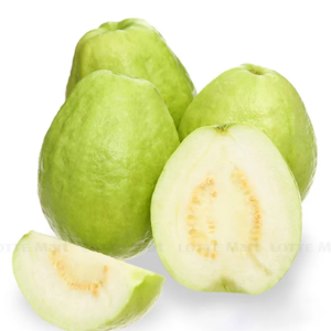 Ổi giống Đài Loan – Hiền Nhuần (1kg | 2kg | 5kg)