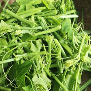 Rau bầu sơ chế – Hiền Nhuần (500g | 1kg)