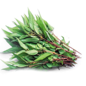 Rau đay – Hiền Nhuần (300g | 500g | 1kg)