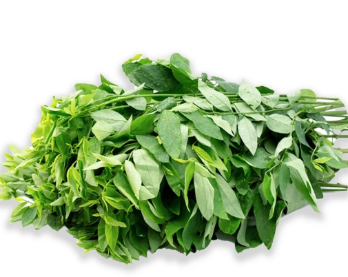 Rau ngót – Hiền Nhuần (500g | 1kg)