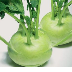 Su hào – Hiền Nhuần (1kg/2kg)