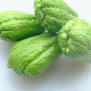 Su su – Hiền Nhuần (500g | 1kg)