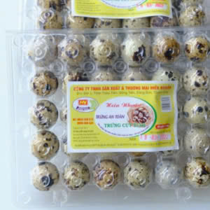 Trứng cút tươi – Hiền Nhuần (Hộp 30 quả)