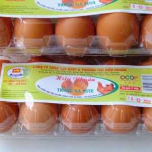 Trứng gà tươi – Hiền Nhuần (Hộp 10 quả)
