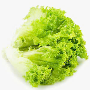 Xà lách xanh xoăn (500g | 1kg)